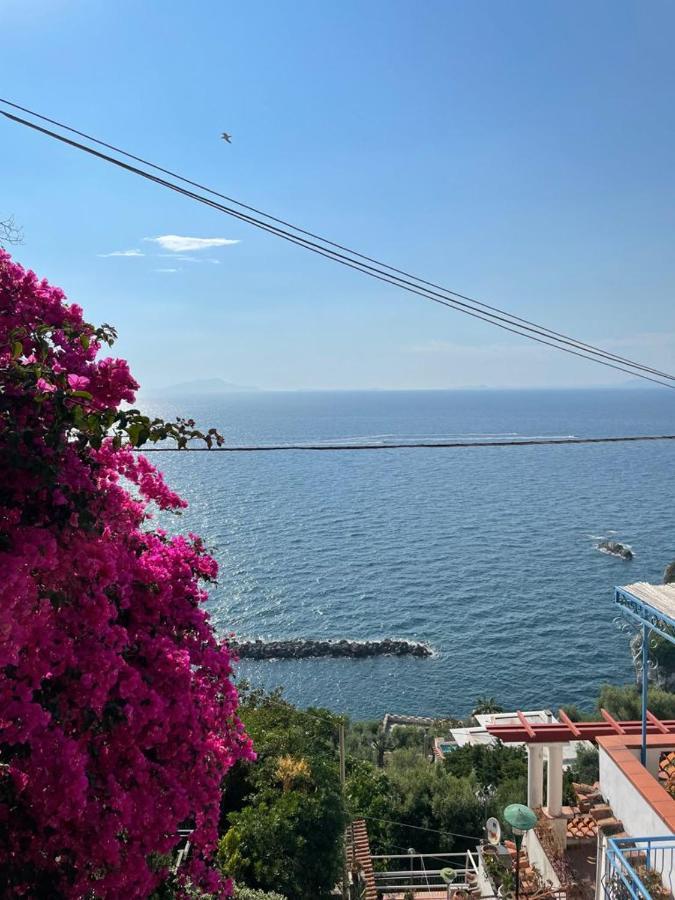 La Rosa Dei Venti Villa Massa Lubrense Bagian luar foto
