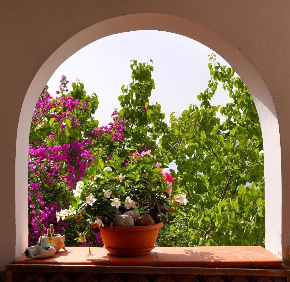 La Rosa Dei Venti Villa Massa Lubrense Bagian luar foto