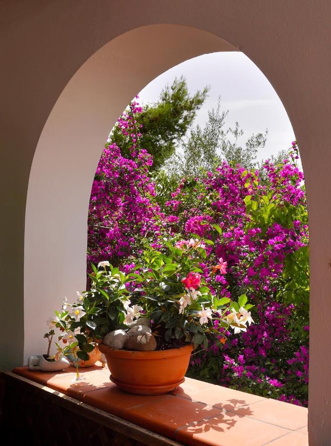 La Rosa Dei Venti Villa Massa Lubrense Bagian luar foto