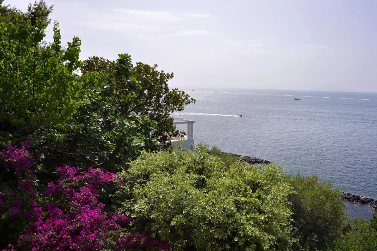 La Rosa Dei Venti Villa Massa Lubrense Bagian luar foto